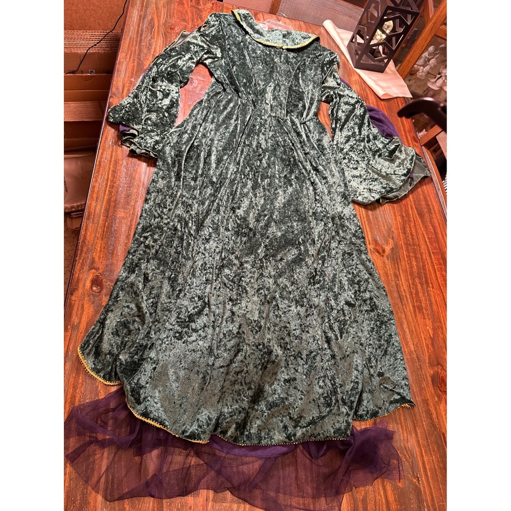 Disney Hocus Pocus Winifred Sanderson Costume Green Velvet Dress Plus 1X Spirit - Picture 13 of 14